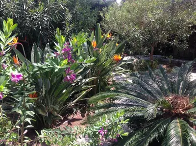 Jardin de l'établissement Villa Clair Matin - Antibes - Sea View - Pool - Sauna - Beach