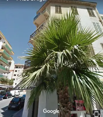 Quartier de l'appartement ou autre quartier proche