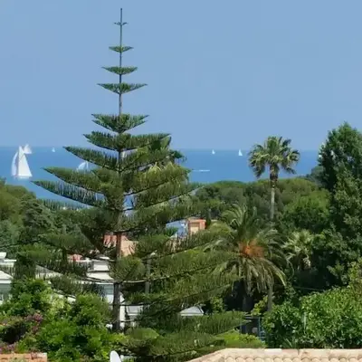 Green Cap d'Antibes