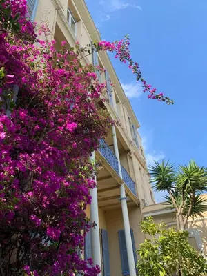 Jardin de l'établissement Hotel Alexandra - Boutique Hotel