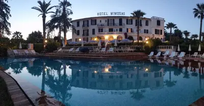 Piscine de l'établissement Hotel des Mimosas ou située à proximité