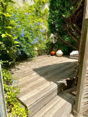 Jardin de l'établissement Cannes - Beachfront with private garden - Palm Beach Croisette
