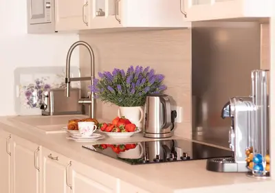 Cuisine ou kitchenette dans l'établissement Cannes Imperial Croisette Palais Miramar