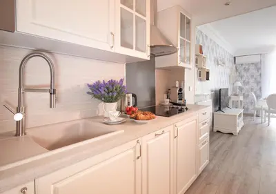 Cuisine ou kitchenette dans l'établissement Cannes Imperial Croisette Palais Miramar