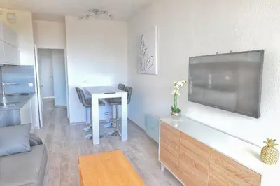 Cuisine ou kitchenette dans l'établissement Apartment hotel Luxe vue mer à 100 mètres des plages étage 8