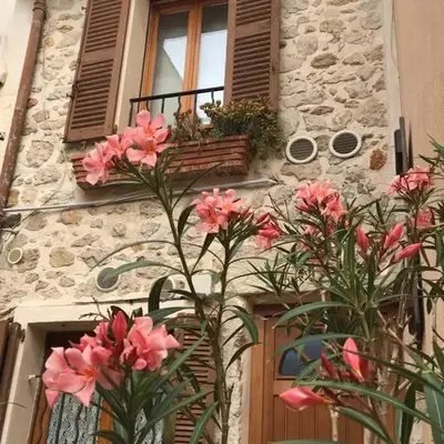 Vieille Ville 2 - La Petite Maison à Safranier