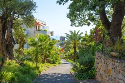 Jardin de l'établissement Hapimag Apartments Antibes