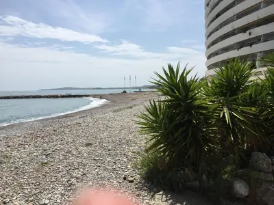 Paysage naturel près de l'appartement