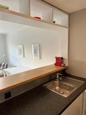 Cuisine ou kitchenette dans l'établissement Appartement rénové CANNES, palm beach