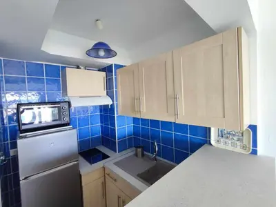 Cuisine ou kitchenette dans l'établissement Studio 