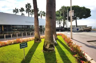 Plan de l'établissement PALAIS MIRAMAR CROISETTE APART 1 MIN CARLTON