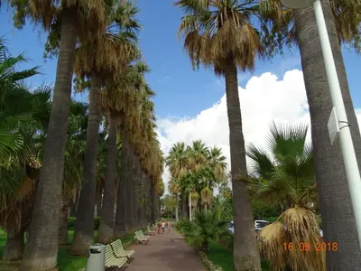 Jardin de l'établissement Palm beach Cannes Azur