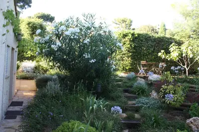 Jardin de l'établissement Ecole Buissonnière