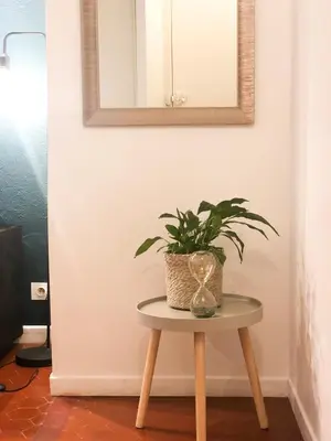 Plan de l'établissement Studio vieil Antibes