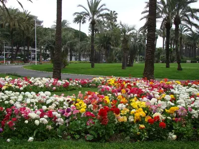 Jardin de l'établissement carré d'or rue d'ANTIBES à quelques pas du palais des Festivals