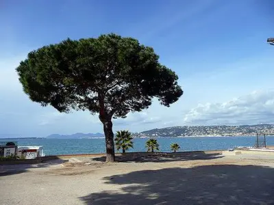 Paysage naturel près de l'appartement