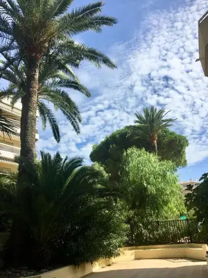Jardin de l'établissement Antibes Juan les Pins center,1 bedroom apart, pool