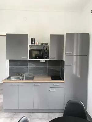 Cuisine ou kitchenette dans l'établissement Appartement PALOMA Proche Cannes