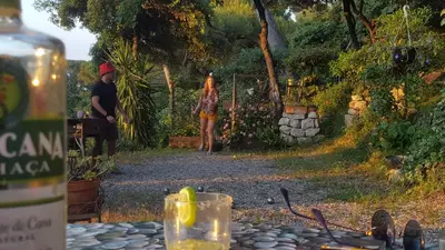 Boissons dans l'établissement Magnifique 