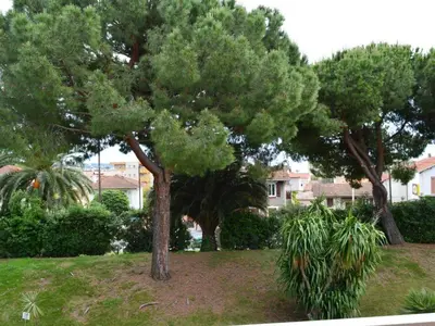 Jardin de l'établissement T2 avec piscine et salle de sport, à 400m de la plage, parking inclus - Golfe-Juan - FR-1-252-140