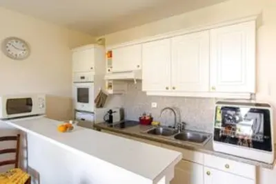 Cuisine ou kitchenette dans l'établissement Cannes près Croisette beau 2 pièces 3 étoiles
