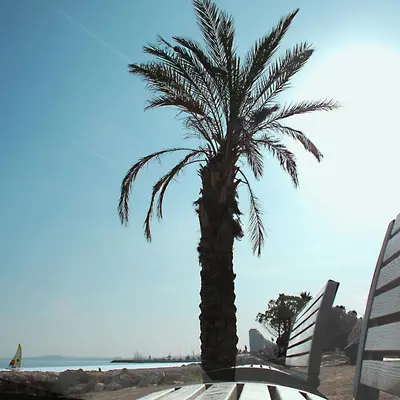 Vue générale sur la mer ou vue sur la mer prise depuis l'appartement