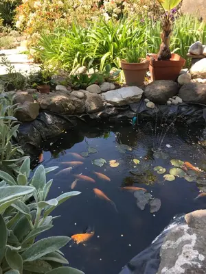Jardin de l'établissement Garden Annexe