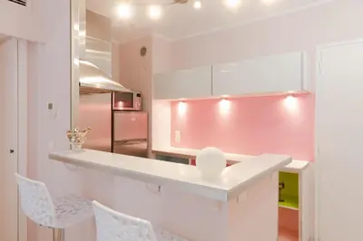 Cuisine ou kitchenette dans l'établissement Magnifique 2 pièces Palm Beach bord mer