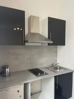 Cuisine ou kitchenette dans l'établissement Studios des Congrès et Festivals