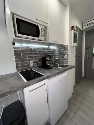 Cuisine ou kitchenette dans l'établissement Magnifique Studio dans résidence avec Piscine
