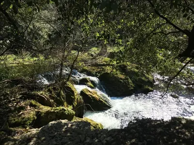 Paysage naturel près de l'appartement