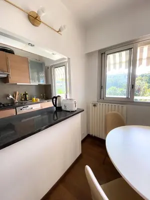 Cuisine ou kitchenette dans l'établissement Superb Apartment In Cannes With Magnificent View !