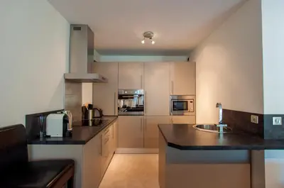 Cuisine ou kitchenette dans l'établissement Carlton Riviera Cannes