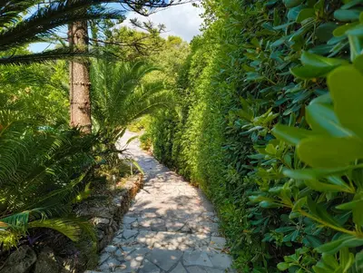 Jardin de l'établissement Quiet Private Garden Suite with Pool