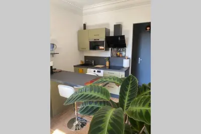 Cuisine ou kitchenette dans l'établissement STUDIO NEUF ET PROCHE DES PLAGES DE JUAN LES PINS