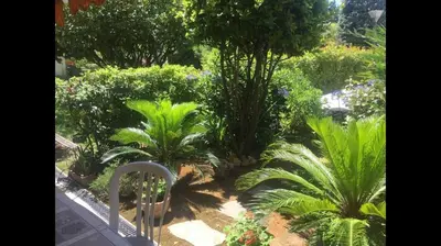 Jardin de l'établissement Hello Côte d'Azur - Spacieux 2 pièces au calme à 5 min des plages