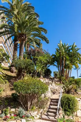 Jardin de l'établissement Super Cannes Sea Side
