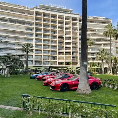 Ibis croisette