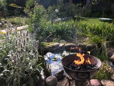 Jardin de l'établissement Garden Annexe 2
