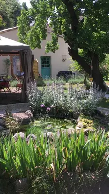 Jardin de l'établissement Garden Annexe 2