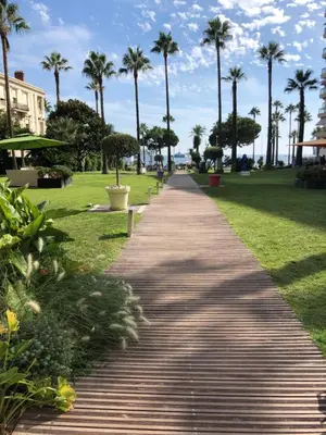 Jardin de l'établissement Studio Cannes Grand Hôtel Ibis avec Terrasse