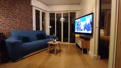 Télévision ou salle de divertissement dans l'établissement Résidence Chantemerle