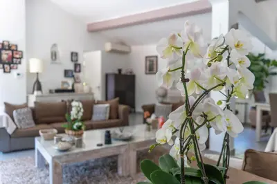 Coin salon dans l'établissement MAGNIFIQUE VILLA 8 PERSONNES