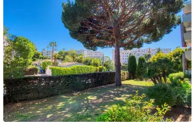 Jardin de l'établissement Le Capri - Studio Wifi Californie