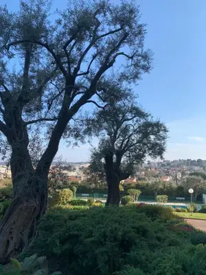 Paysage naturel près de l'appartement