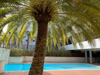 Plan de l'établissement 2 pièces terrasse piscine Cannes Californie