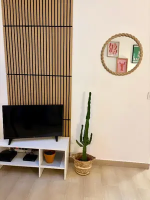 Télévision ou salle de divertissement dans l'établissement Excellent emplacement: plein cœur de ville, Croisette et rue d’Antibes