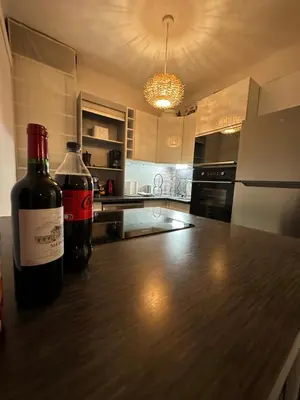 Cuisine ou kitchenette dans l'établissement Appt lumineux et spacieux au cœur de Cannes