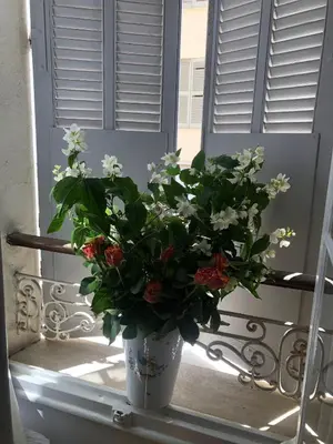 Plan de l'établissement Centre heart of CAnnes