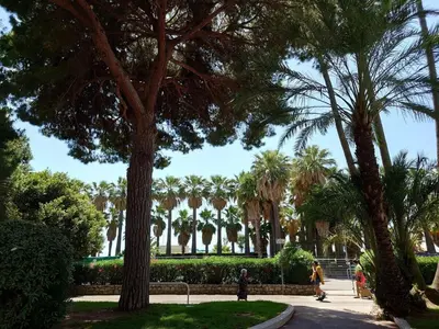 Jardin de l'établissement SUNRISE & SUNSET PALM BEACH CROISETTE